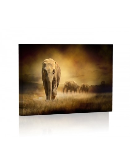Słonie DESIGN Obraz z oświetleniem LED prostokątny