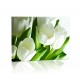 Białe tulipany DESIGN Obraz z oświetleniem LED prostokątny