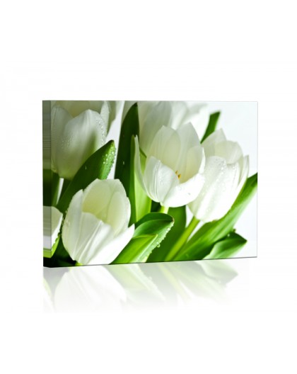 Białe tulipany DESIGN Obraz z oświetleniem LED prostokątny