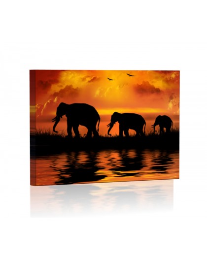 Rodzina słoni DESIGN Obraz z oświetleniem LED prostokątny