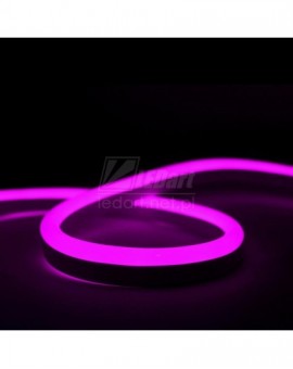 Neon LED 12V Różowy