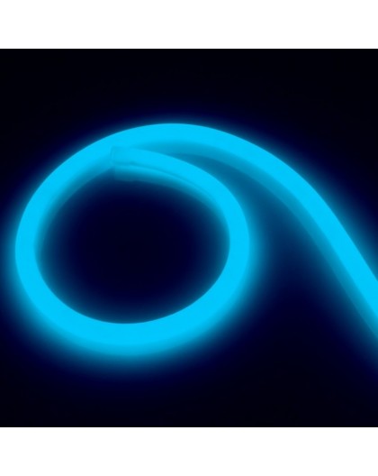 Neon LED PRO 230V 360° Blue 5m