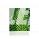 Tropical palm leaves DESIGN Lamp backlit
