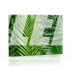 Tropikalne liście palmy Obraz podświetlany LED