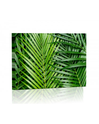 Tropikalne liście palmy Obraz podświetlany LED