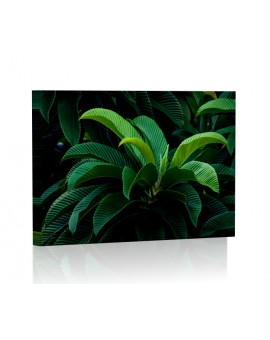 Tropikalne liście Obraz podświetlany LED