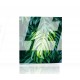 Tropikalne liście fitodendron Obraz podświetlany LED